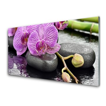 tulup.si Slika na akrilnem steklu Orchid orchid zen spa 2 obešalnika