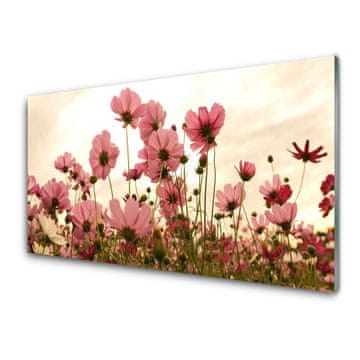 tulup.si Slika na akrilnem steklu Cvetje wildflowers travnik narava 2 obešalnika