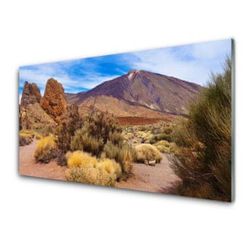 tulup.si Slika na akrilnem steklu Rastline rocks mountains landscape 2 obešalnika