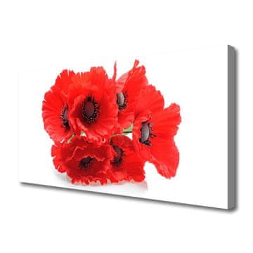 tulup.si Slika na platnu Rože na steni