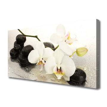 tulup.si Slika na platnu Beautiful cvet orhideje
