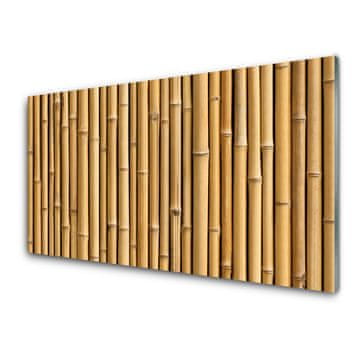 tulup.si Slika na akrilnem steklu Bamboo rastlin narava 4 obešalnika