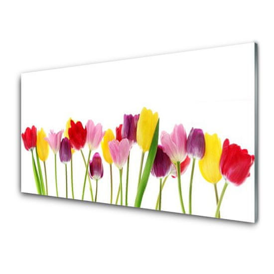 tulup.si Slika na akrilnem steklu Tulipani cvetovi rastlin