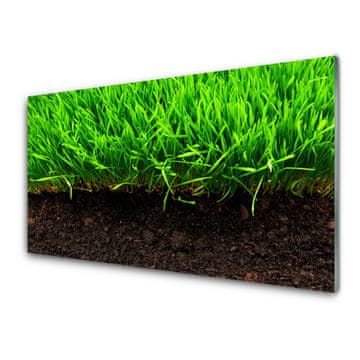 tulup.si Slika na akrilnem steklu Grass nature rastlin 2 obešalnika