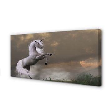 tulup.si Slika na platnu Unicorn vrh