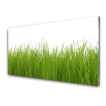 tulup.si Slika na akrilnem steklu Grass nature rastlin 2 obešalnika