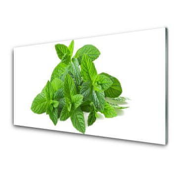 tulup.si Slika na steklu Mint rastlin narava 2 obešalnika