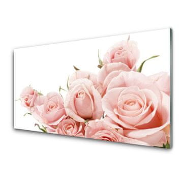 tulup.si Steklena slika Roses flowers rastlin 4 obešalnika