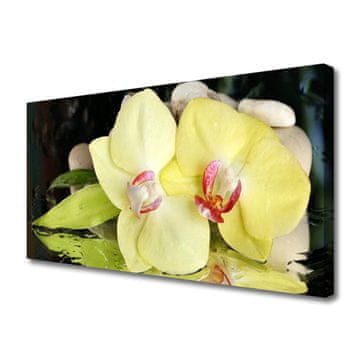 tulup.si Slika na platnu Orchid cvetni listi