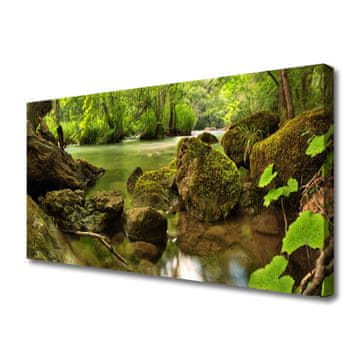 tulup.si Slika na platnu Rock lake nature