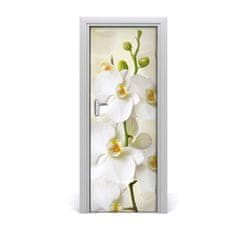 tulup.si Nalepka na vratih Bela orhideja 75x205 cm