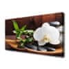 Slika na platnu Bambus zen bela orhideja 125x50 cm