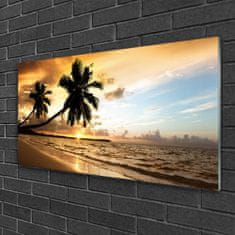 tulup.si Slika na steklu Palm trees beach landscape 120x60 cm 2 obešalnika