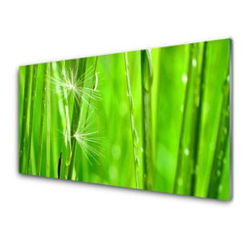 tulup.si Slika na akrilnem steklu Grass nature rastlin 4 obešalnika