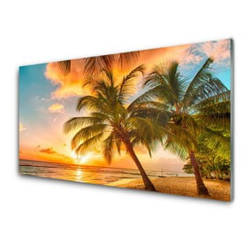 tulup.si Slika na akrilnem steklu Palm tree morje landscape 2 obešalnika
