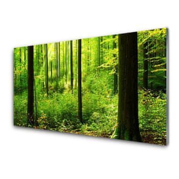 tulup.si Zidna obloga za kuhinju Green forest trees narava
