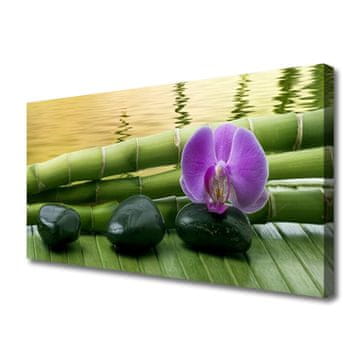 tulup.si Slika na platnu Flower stones bamboo narava