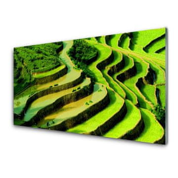 tulup.si Slika na akrilnem steklu Rice field forest narava 2 obešalnika
