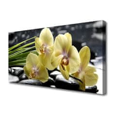 tulup.si Slika na platnu Cvetovi rastlin narava 125x50 cm