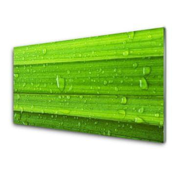 tulup.si Slika na akrilnem steklu Grass nature rastlin 2 obešalnika