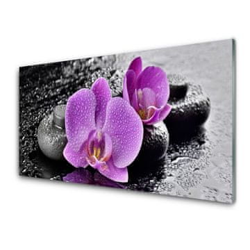 tulup.si Slika na akrilnem steklu Orchid cvetje orchid spa 2 obešalnika