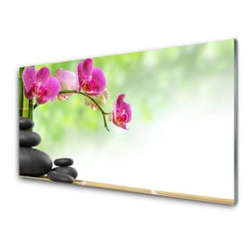 tulup.si Slika na akrilnem steklu Poganjki bamboo zen stone spa 2 obešalnika