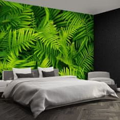 tulup.si Stenska fototapeta Praprot zelena Tapeta 208x146 cm