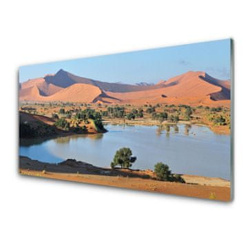 tulup.si Slika na steklu Lake desert landscape 4 obešalnika