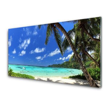 tulup.si Slika na akrilnem steklu Palm tree morje landscape 2 obešalnika