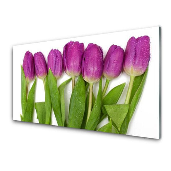 tulup.si Stenska plošča za kuhinjo Tulipani cvetovi rastlin