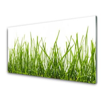 tulup.si Zidna obloga za kuhinju Grass nature rastlin