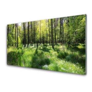 tulup.si Slika na akrilnem steklu Forest grass nature rastlin 4 obešalnika
