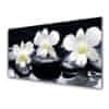 Steklena slika Orchid rastlin stones 140x70 cm 4 obešalnika