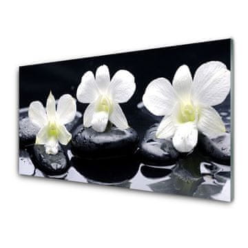 tulup.si Slika na akrilnem steklu Orchid rastlin stones 2 obešalnika