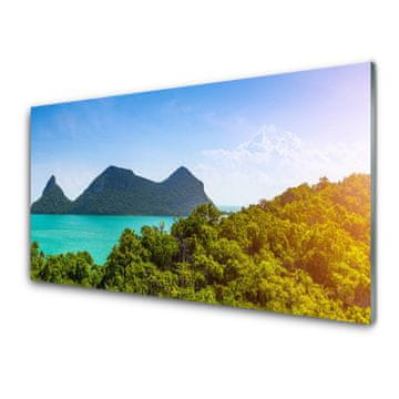 tulup.si Slika na steklu Sea mountain landscape drevesa 4 obešalnika
