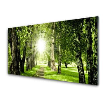 tulup.si Slika na steklu Sun forest narava pot 2 obešalnika