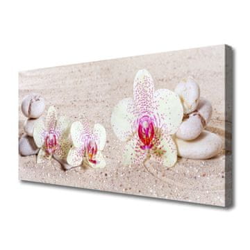 tulup.si Slika na platnu Orchid orchid sand
