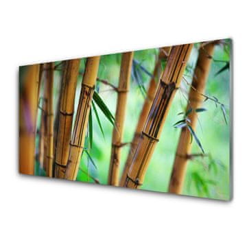 tulup.si Slika na akrilnem steklu Narava bamboo rastlin 4 obešalnika
