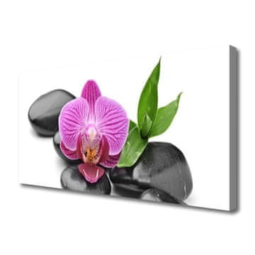 tulup.si Slika na platnu Flower stones art