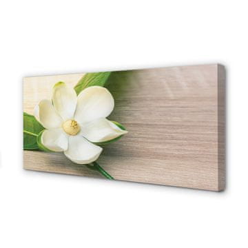 tulup.si Slika na platnu Bele magnolije