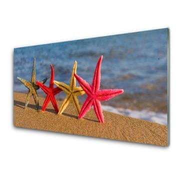 tulup.si Slika na akrilnem steklu Starfish beach art 2 obešalnika