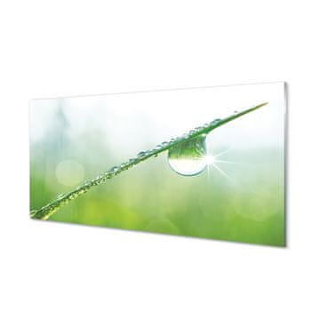 tulup.si Zidna obloga za kuhinju Drop trava makro