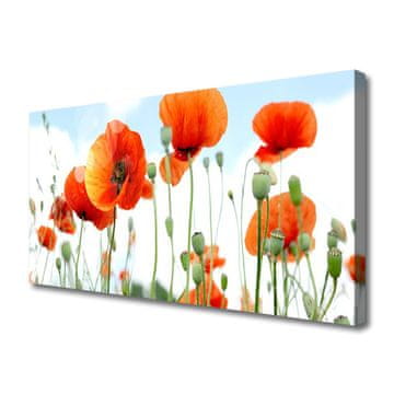 tulup.si Slika na platnu Makovo polje flowers travnik narava