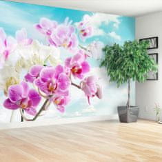 tulup.si Stenska fototapeta Blue orhideje 152x104 cm