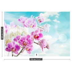 tulup.si Stenska fototapeta Blue orhideje 152x104 cm