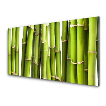 tulup.si Slika na akrilnem steklu Bamboo rastlin narava 4 obešalnika