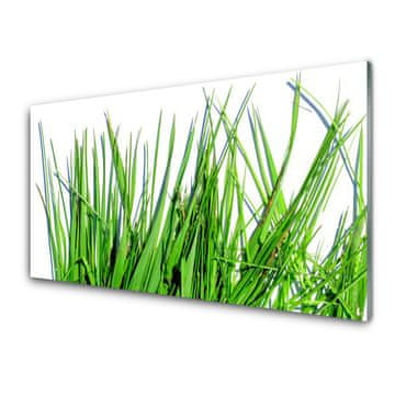 tulup.si Slika na akrilnem steklu Grass on wall 4 obešalnika