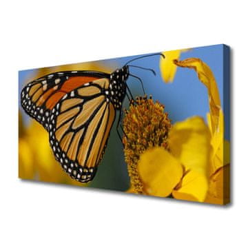 tulup.si Slika na platnu Butterfly cvet narava