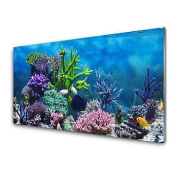 tulup.si Slika na akrilnem steklu Aquarium fish pod vode 4 obešalnika