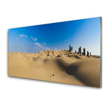 tulup.si Slika na akrilnem steklu Pokrajina desert sand 4 obešalnika